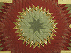 Flowering Lily Star Quilt